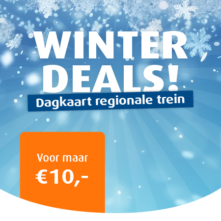 Dagkaart trein 10,-